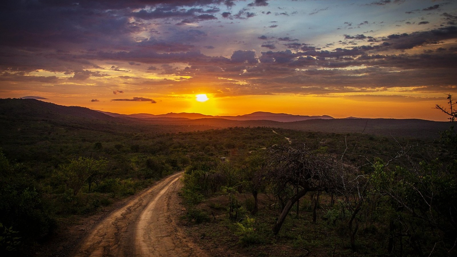 A wide, gently graded dirt road winding through open country at golden hour