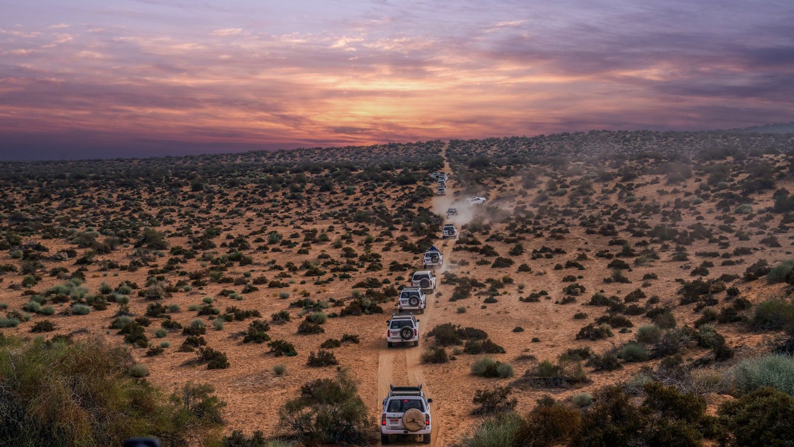 A convoy of off-road rigs on a scenic backcountry trail