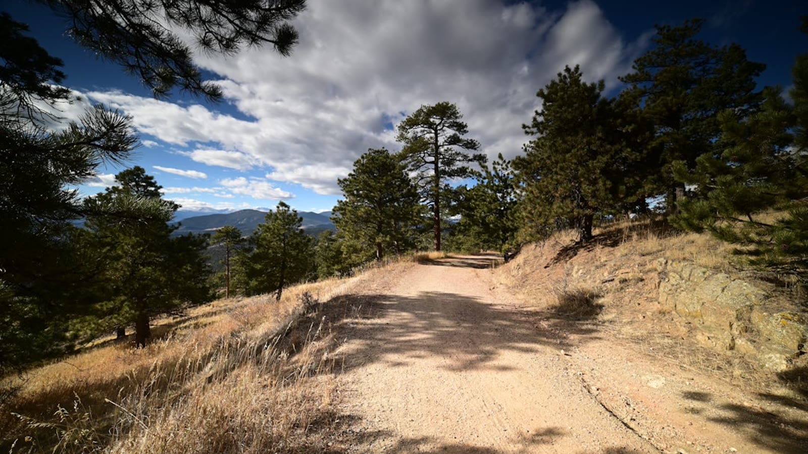 A dirt forest road winding through ponderosa pines with a wide mountain overlook in the distance