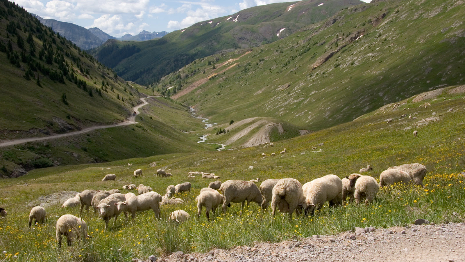 A scenic dirt backcountry road switchbacking through a Colorado high-country valley with peaks in the distance
