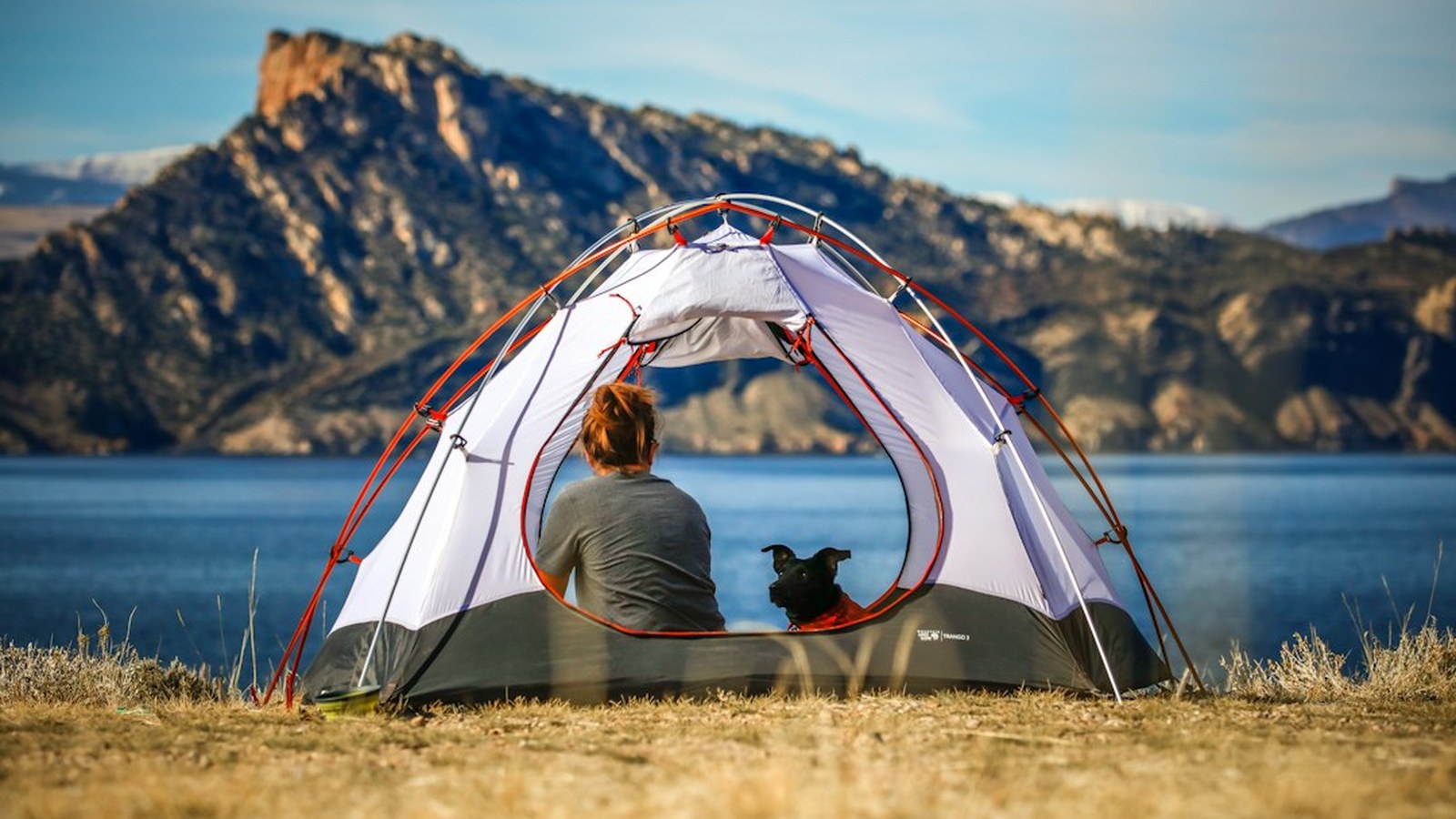 A dog sits beside a tent at a backcountry campsite overlooking a mountain lake, the kind of dog-friendly setup dispersed public land is made for.