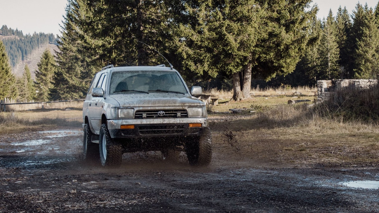 A mud-splattered 4x4 parked on a forest road ringed by tall pines in golden light.