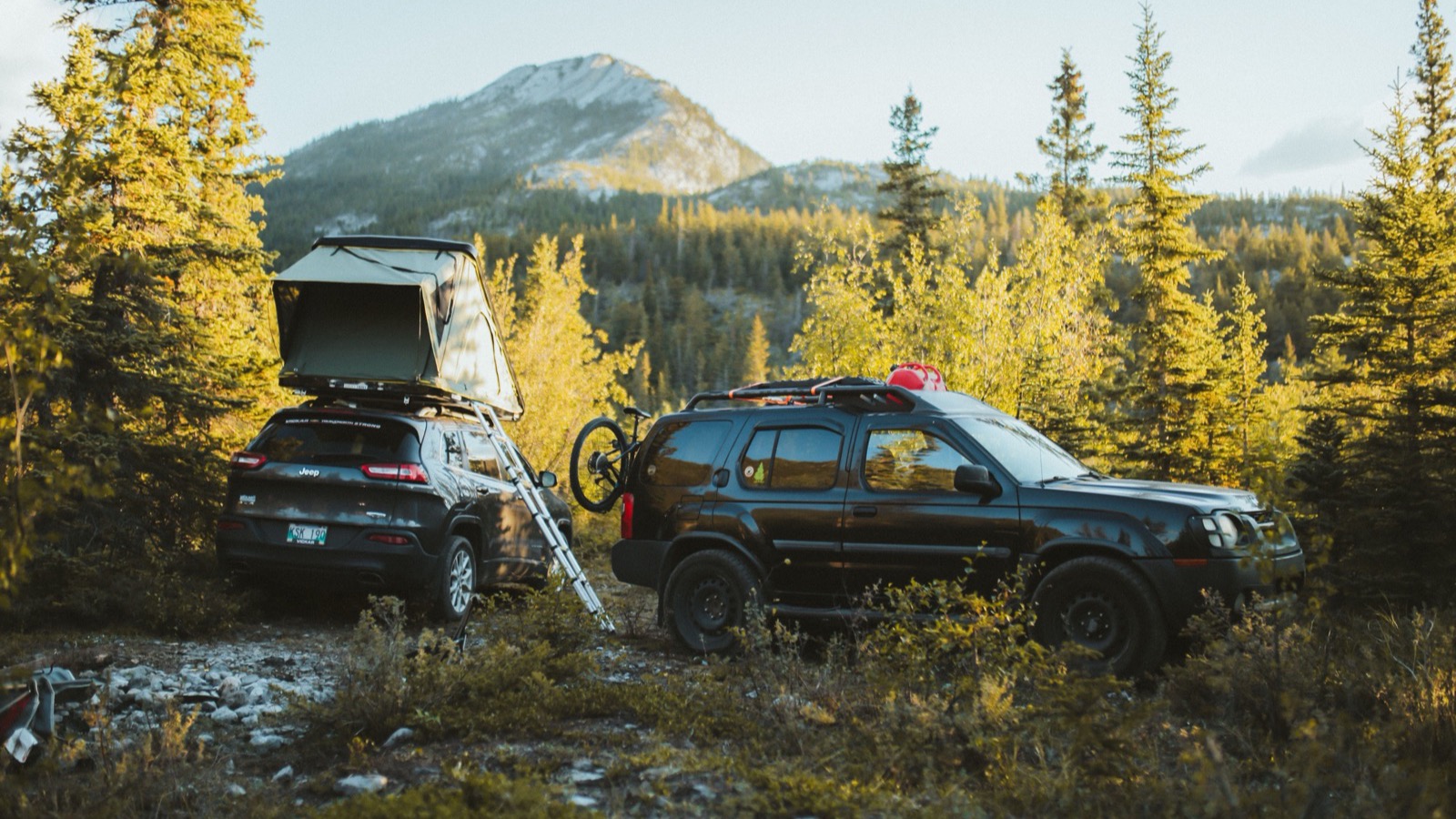 Two overland rigs with rooftop tents deployed at a forest camp in golden light