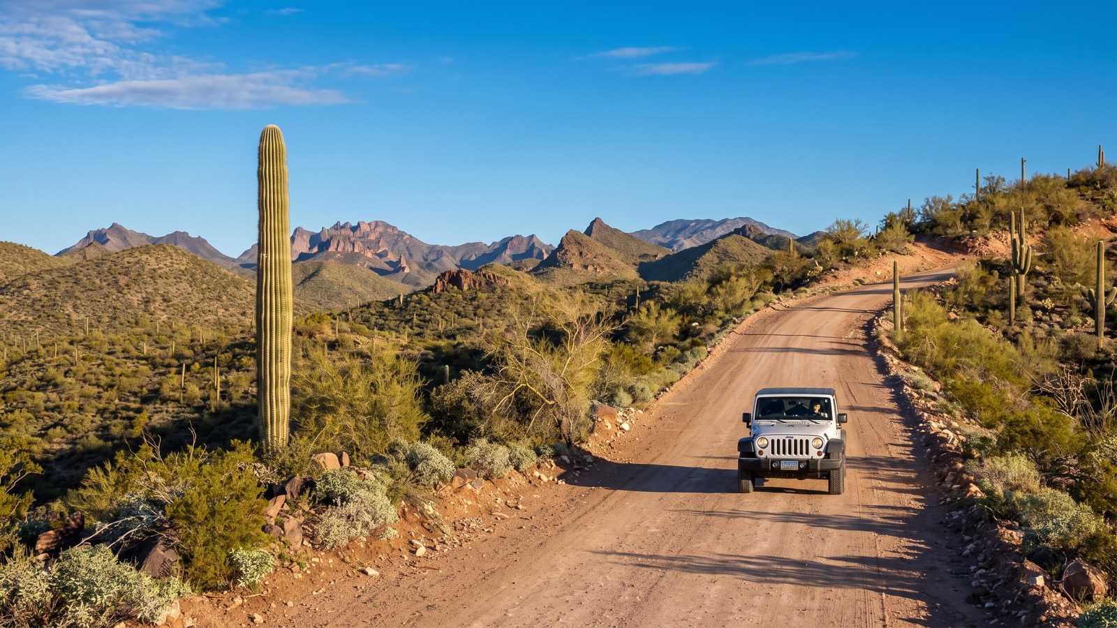 A white Jeep descending a desert dirt two-track toward distant jagged peaks, a lone saguaro standing in the foreground.