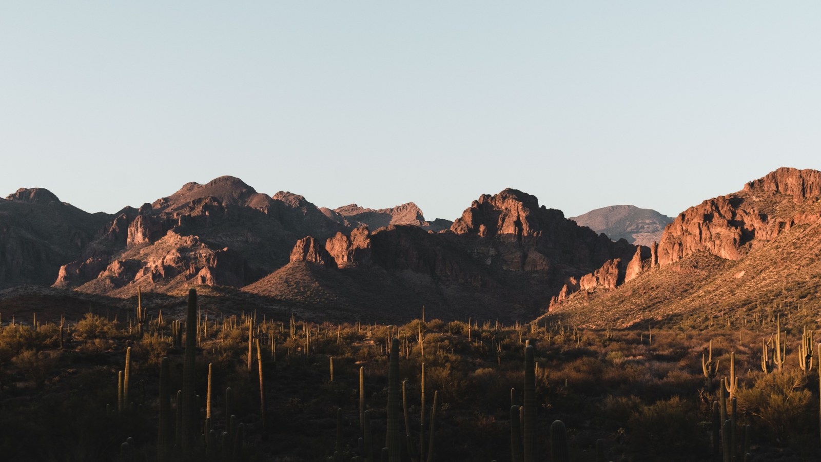 Golden-hour light over the saguaro-covered ridges of the Superstition country that frames this corner of the Sonoran Desert.