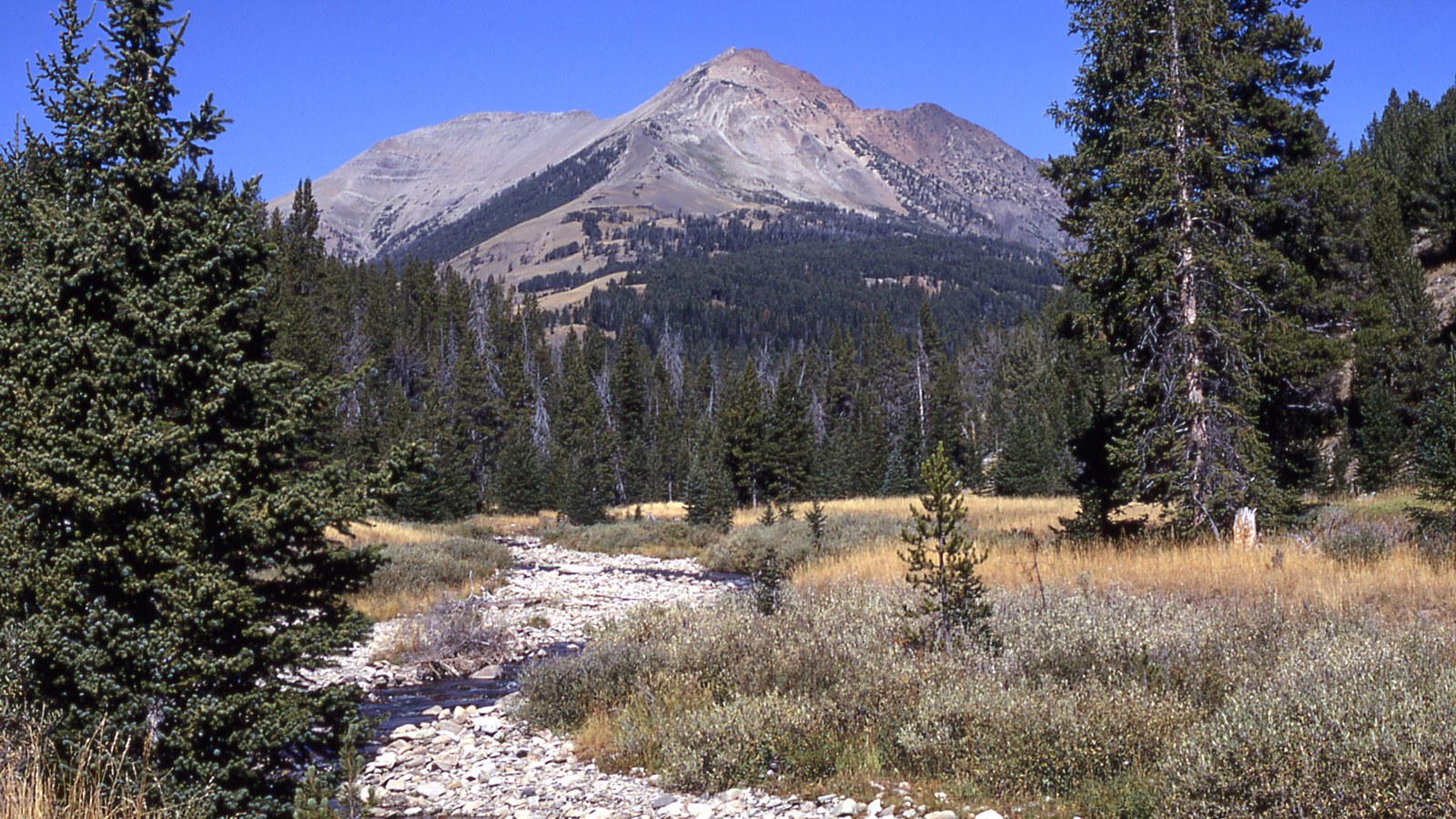 Rocky creek running through a sagebrush meadow toward a forested Absaroka peak in the Custer Gallatin National Forest, Montana