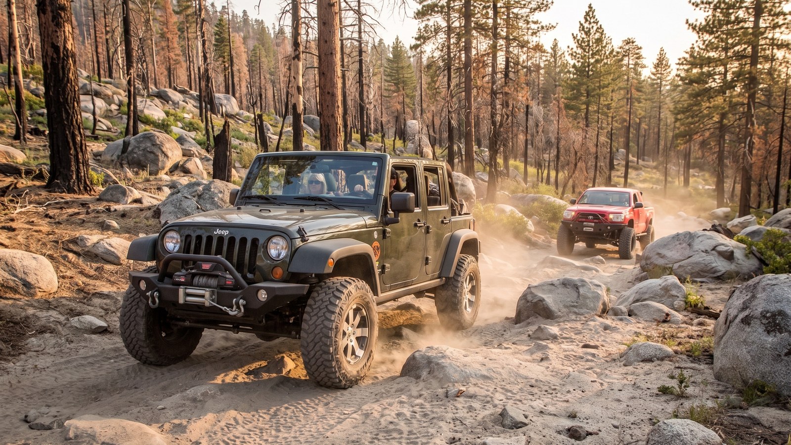 A small convoy of modified 4x4s working through the fire-scarred pine forest along Holcomb Creek.