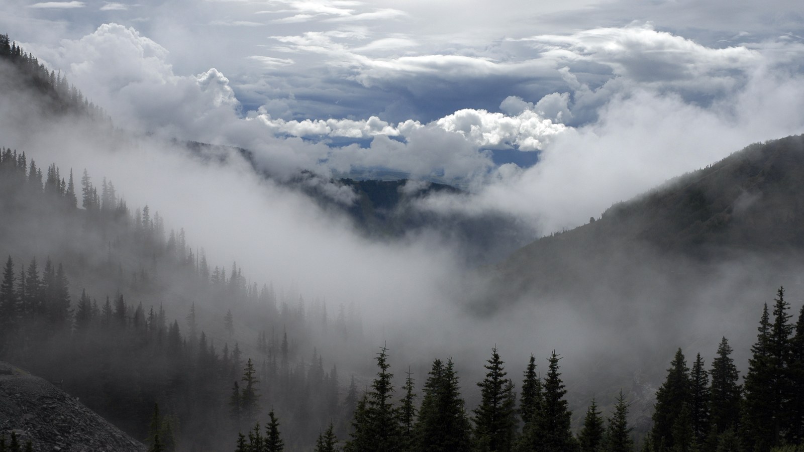 A moody cloud inversion rolling through the high San Juan forest below the pass, the kind of weather that can move in fast at 13,000 feet
