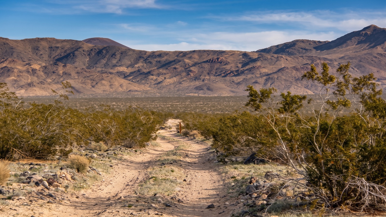 The Mojave Road dirt trail curving downhill through desert scrub toward a volcanic cinder cone and brown desert mountains