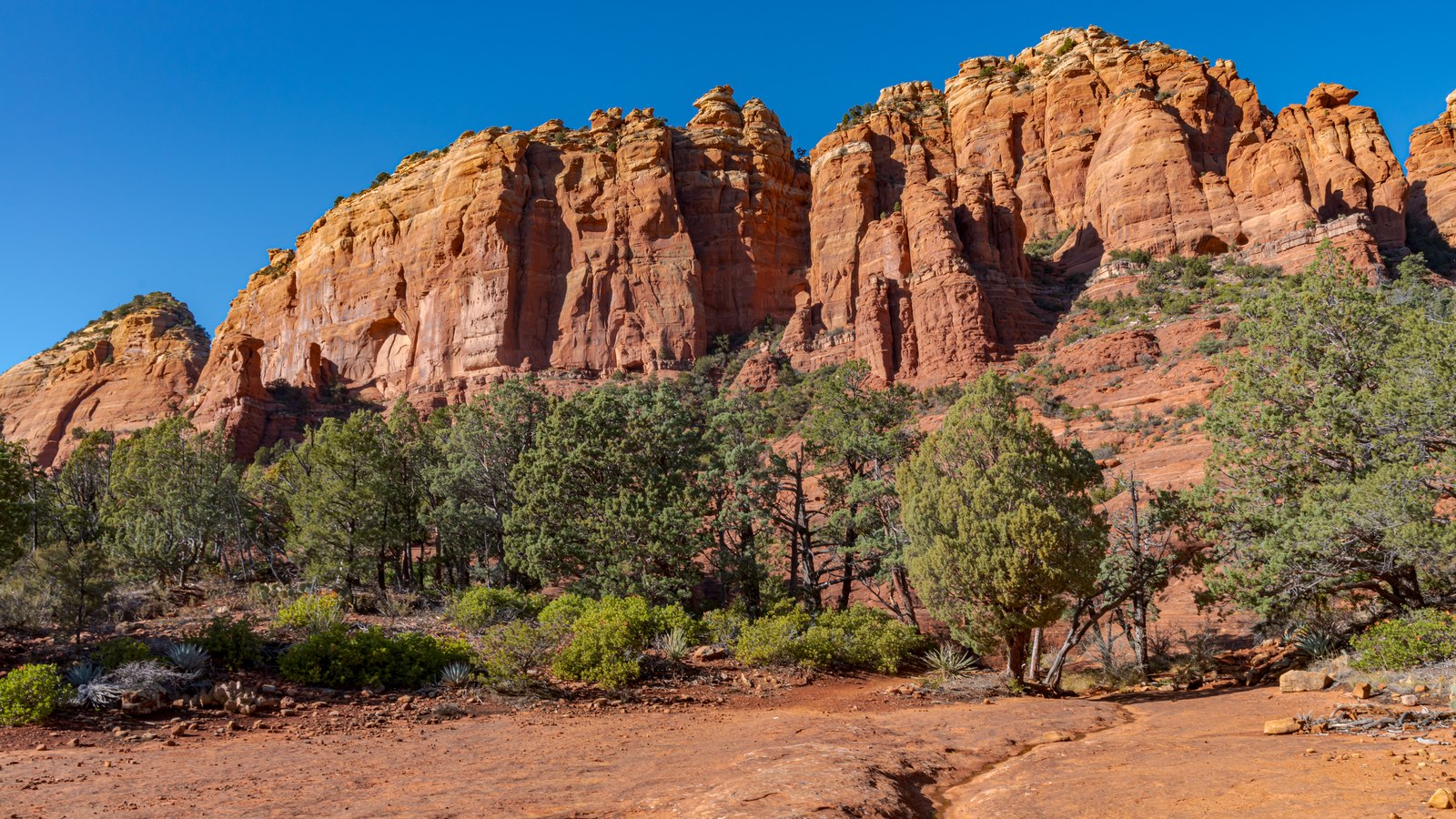 Vivid red sandstone cliffs rising above a green belt of juniper and pinyon along the Mitten Ridge terrain near Schnebly Hill Road, Sedona
