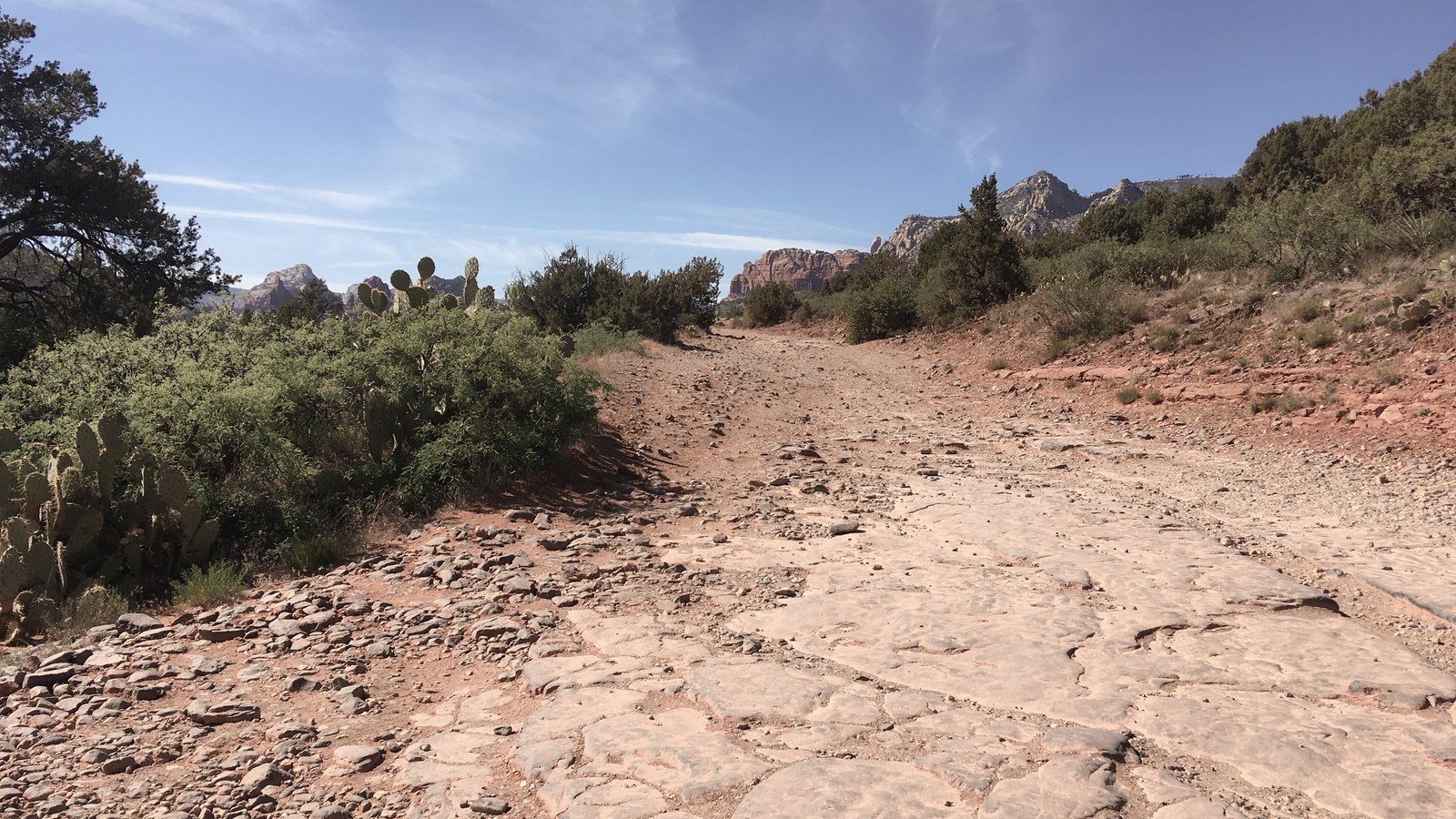 The rough, ledgy, broken-rock surface of Schnebly Hill Road climbing past prickly pear and juniper, with red rock formations in the distance