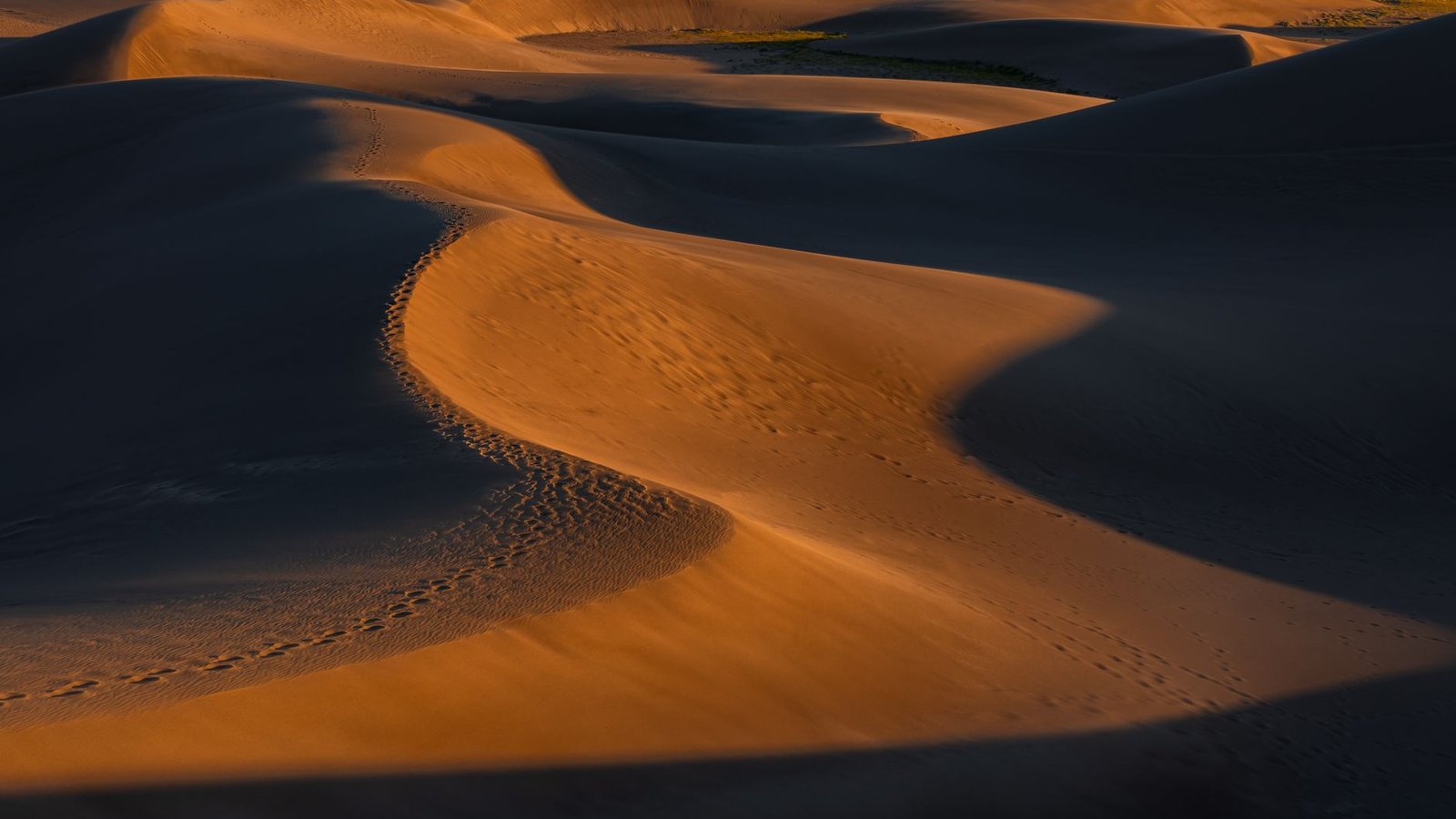 Golden sand dunes with deep shadow ridgelines under warm sidelight — the open terrain ORV riders navigate at Silver Lake
