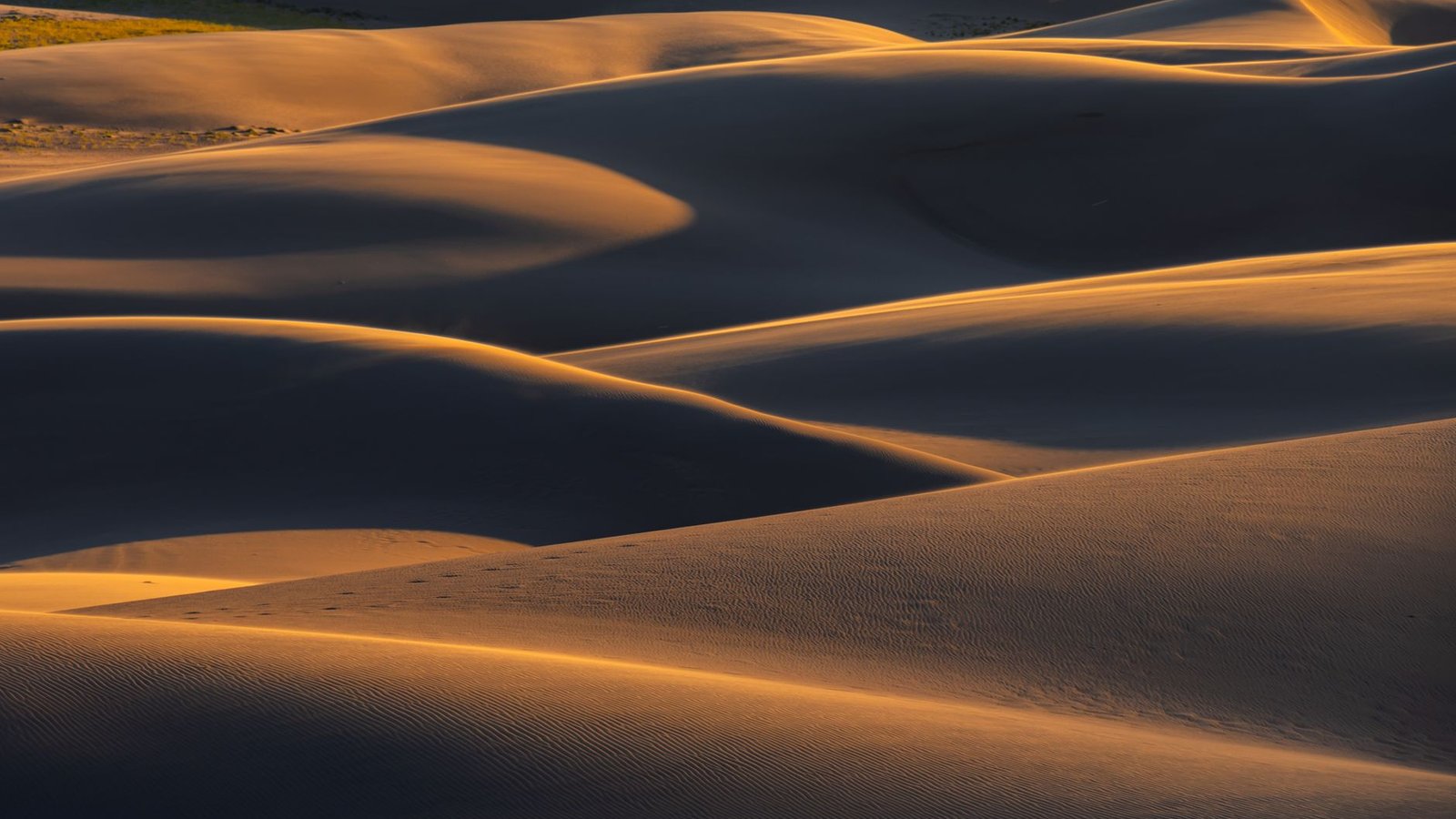 Sculpted sand dune ridgelines fading into golden backlight — Silver Lake's 450-acre ORV area offers open sand in every direction