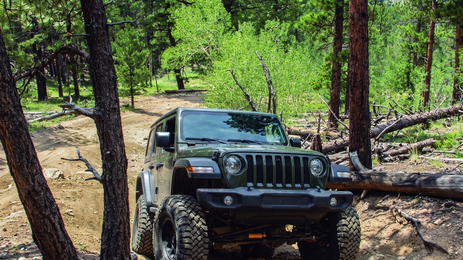 A lifted green Jeep Wrangler articulating over a rock-and-root ledge on the tight, rutted, green-understory ponderosa forest two-track of Slaughterhouse Gulch near Bailey, Colorado