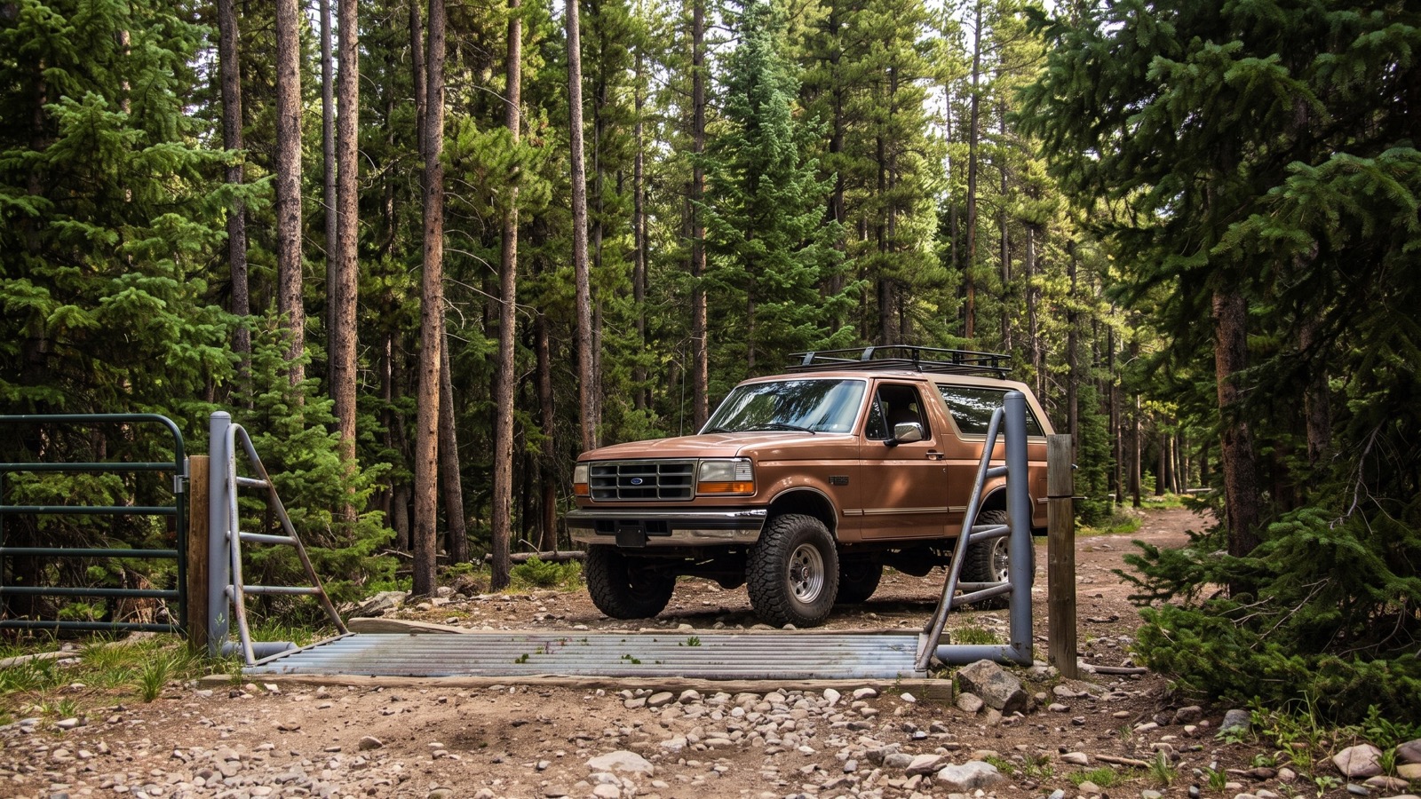 A bronze Ford Bronco parked at the metal forest gate and cattle guard of Slaughterhouse Gulch, tall lodgepole pine and spruce crowding in close on all sides