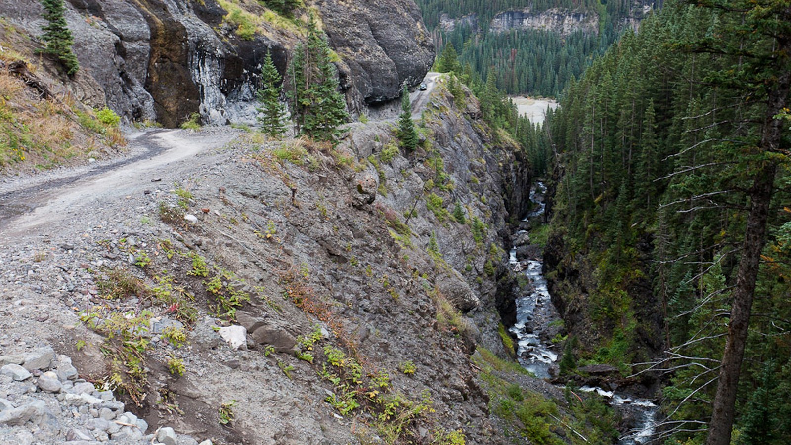 The narrow Camp Bird Road shelf cut into the mountainside above Canyon Creek on the climb toward Yankee Boy Basin